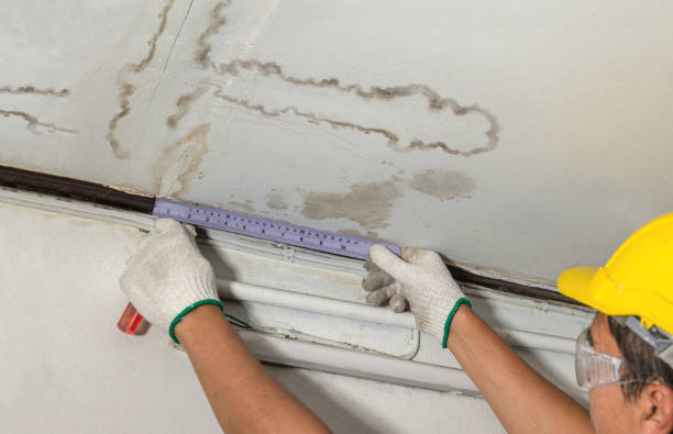 Reliable Water Damage contractor in Wilkesville, OH by Water Damage Irwin
